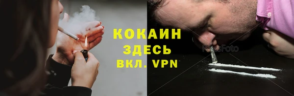 apvp Алексин