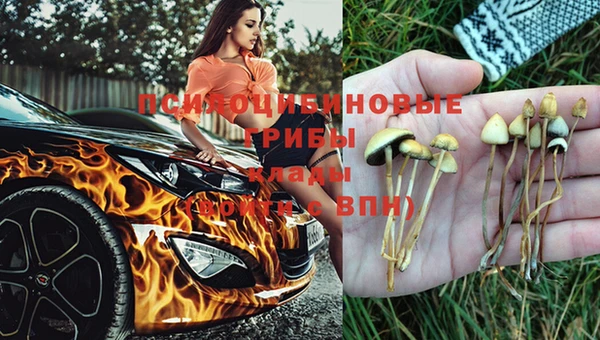 метадон Алексеевка