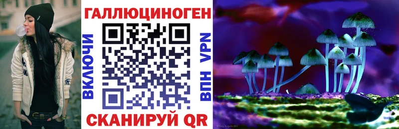 Псилоцибиновые грибы Psilocybine cubensis  блэк спрут зеркало  Боровск 