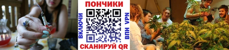 Шишки марихуана гибрид гидра ссылки Боровск